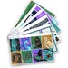 Beasts Collection - Full Kit | Planner Stickers for Erin Condren Vertical Life Planner