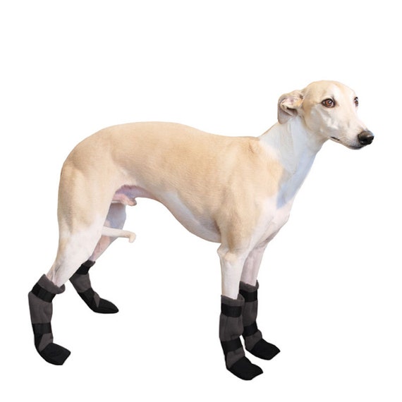 slipper socks for dogs whippet booties winter boots boots shoes for dogs slipper socks for dogs whippet booties winter boots boots shoes for dogs
