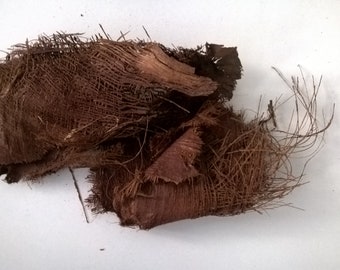 Dried Coconut Palm Fiber - 250g - Florist Supply - Natural Decaoration - Natural Brown Color