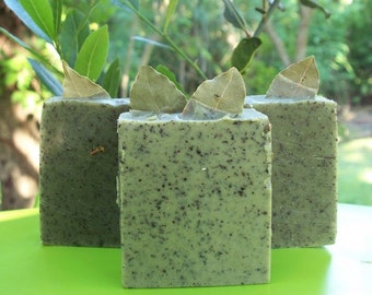 Pumice peppermint Bay Exfoliating Bar