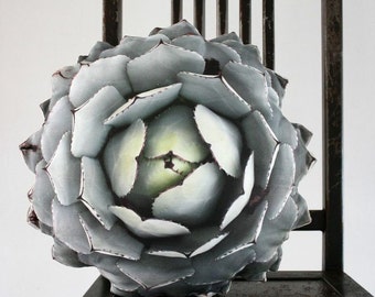 Succulent pillow made to order (Agave parryi var truncata)