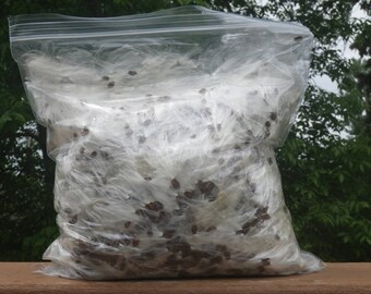 5 oz Bag Milkweed Seed Fluff Floss Wedding Flyers Decor Arts Crafts Wind Checker Natural