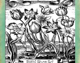 In My Garden Digital Stamp Set