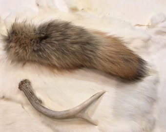 Real Taxidermy Coyote Tail Tanned Leather Animal Hide Pelt