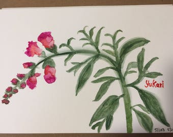 Original watercolour painting Snapdragon