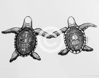 Turtle Pair Limited Edition Print