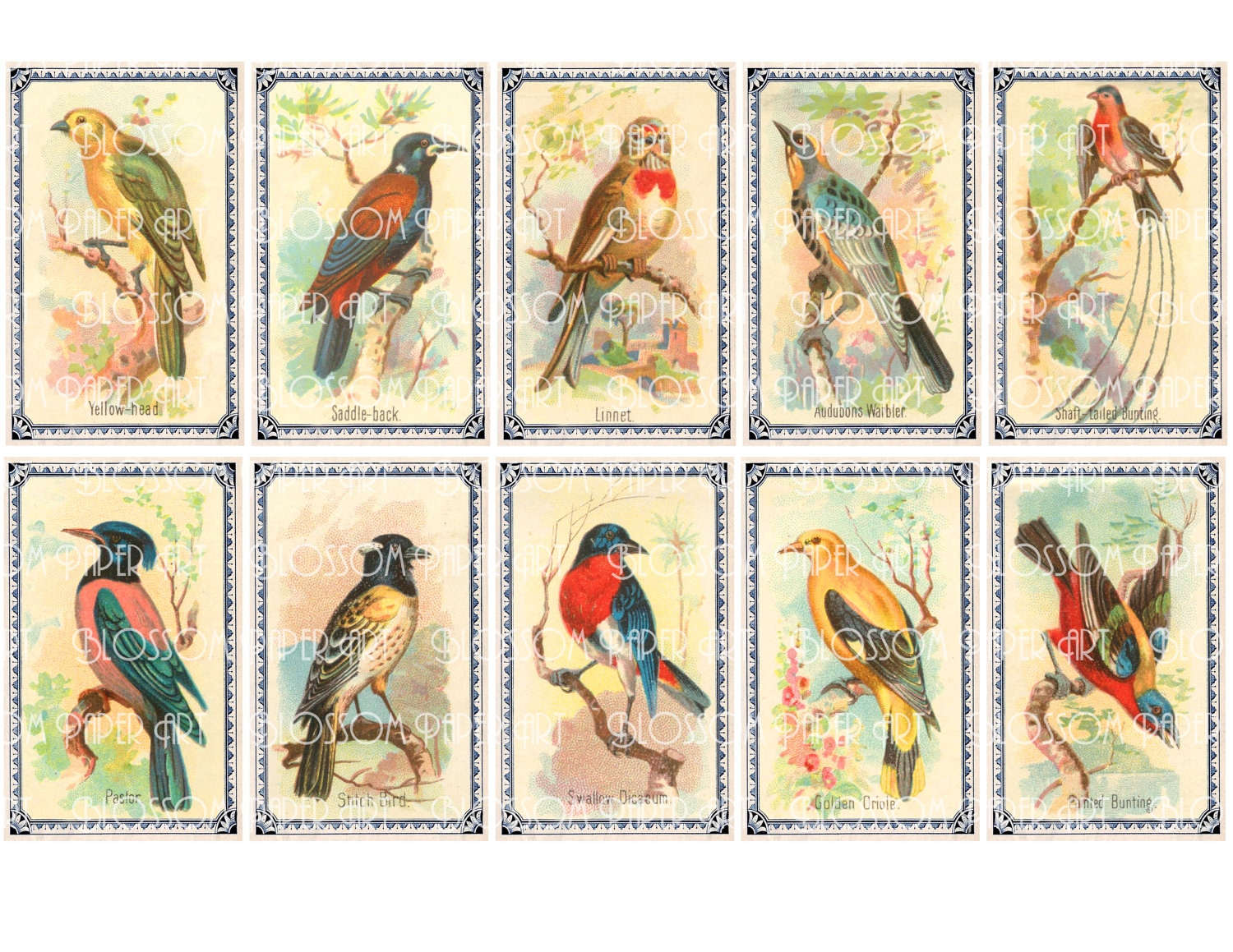 birds collage sheet digital scrapbook scrapbooking