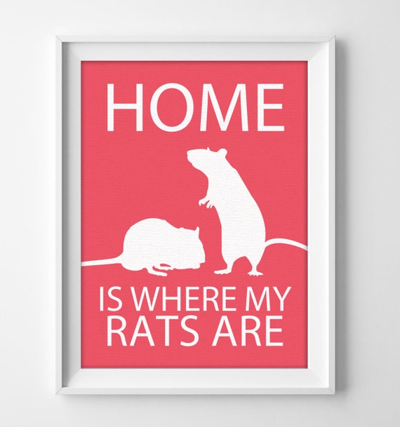 8x10 Rats Wall Art Pet Rats gift Rats Decor Rats