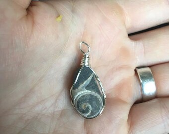 Silver wire-wrapped fossil necklace pendant