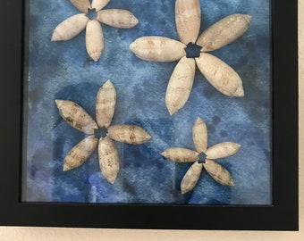 Olive Sea Shell Shadowbox
