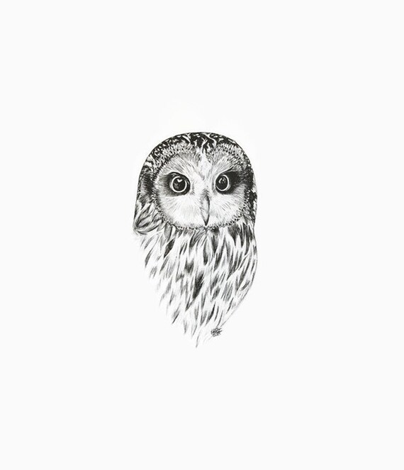 Owl Print Owl Decor Owl Ink Print Owl Art Owl Drawing Owl