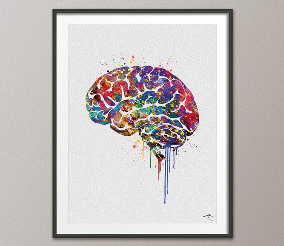 Brain Anatomy Watercolor Print Medical Art Science Art Wall