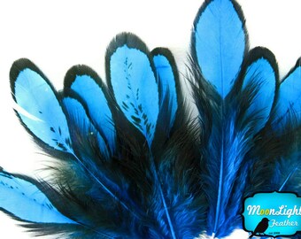 Unique Blue Feathers, 1 Dozen - BLUE Laced Hen Loose Saddle Feather: 361