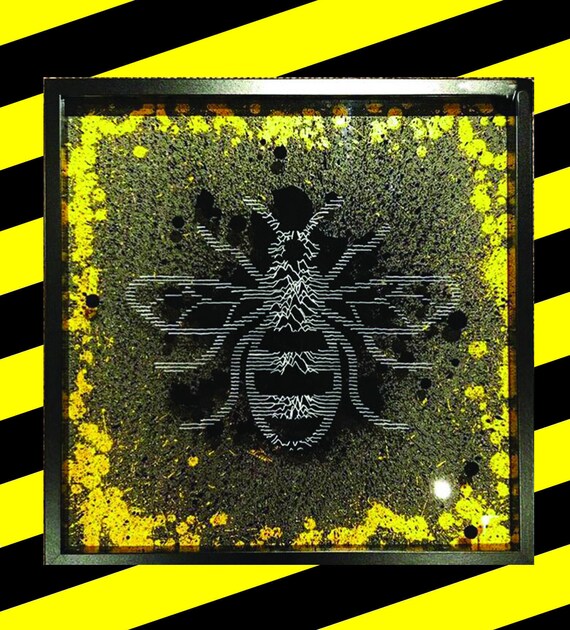 Manchester Bee inspired by Joy Division’s ‘Unknown Pleasures’ album