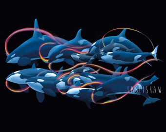 Orca fine art print - Rainbow Echolocation - Jpod