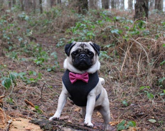 Charcoal Dog Harness, Pink Bow Tie, Wedding Dog, Handmade Harness, Wool Harness, Pug Harness, Valentines Harness