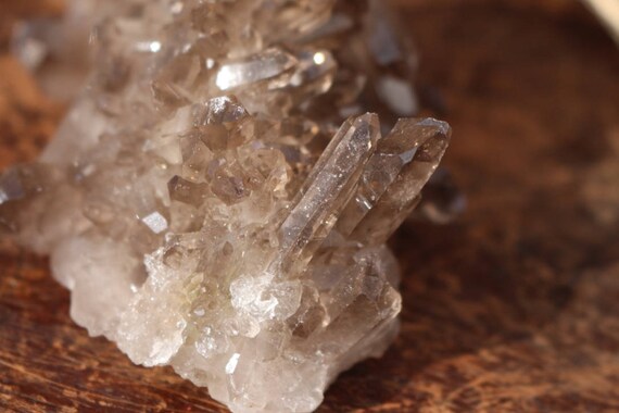 Raw Smoky Quartz Cluster 234g, Light Smoky Quartz Points, Standing Smoky Quartz, Smoky Quartz Points, Healing Crystals, Crystal Grid