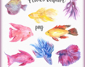 Watercolor Fishes Clipart, Underwater world clipart, Fishes clip art, Under the sea, Tropical fish clipart, Beautiful fishes, Aquarium fish