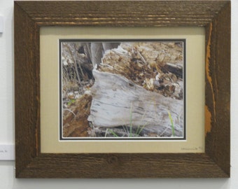 FRAMED -- Wind Blown Facemask - 20"x24" od