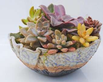 ceramic planter pot garden plant bowl window garden wavy planter