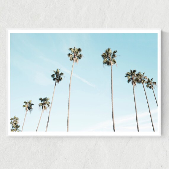 Palm Tree Print Palm Tree Poster Palm Tree Photo Palm Tree