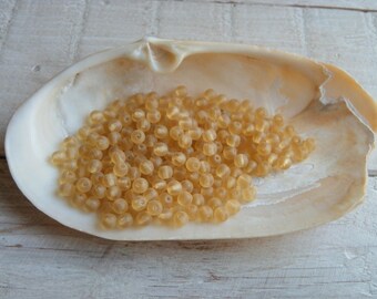 mustard yellow glass 4 mm 50 beads