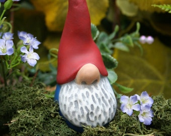 Nosey Little Garden Gnome - READY TO SHIP Now - Funny Gnome - Terrarium Decor