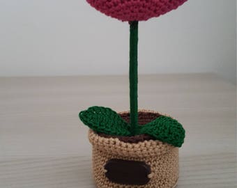 Heart seedling tutorial