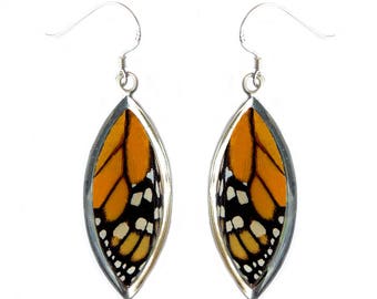 Real Butterfly Wing Sterling Silver Earrings - MonarchTop Wing Sterling Silver