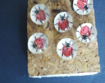sparkly lady bug pushpins