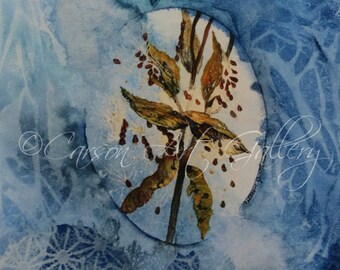 Milkweed: Digital Print by Colleen Carson