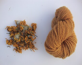 Natural Dye Sample Kit - Tickseed Sunflower
