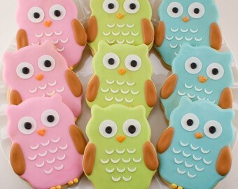 Owl Cookies - 15 Decorated Sugar Cookie Favors