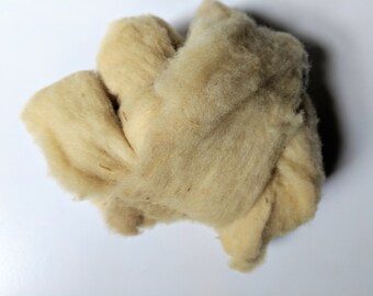 Naturally Dyed Cormo Wool Roving - Eucalyptus