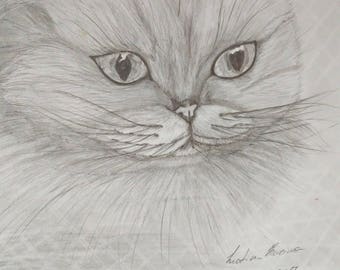 Tabby Cat Pencil Drawing Cat Art Cat Print Gift for Cat 