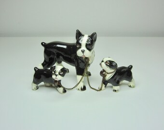 Boston Terrier and Puppies - Beautiful Vintage Boston Terriers - Made in Japan