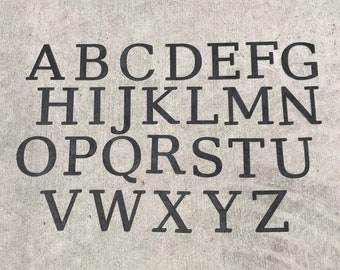 8 Inch Metal Letters/Numbers