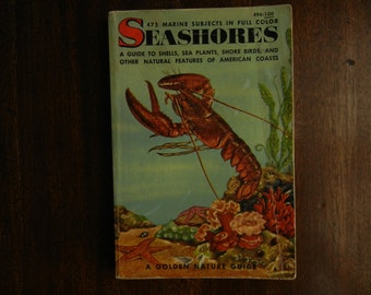 A Golden Guide ~ Seashores ~ 1955
