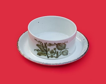 Midwinter Stonehenge 'Green Leaves' Soup Bowl and Plate