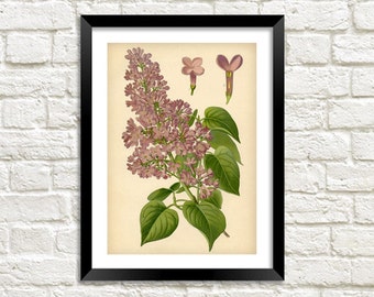 Lilac wall art | Etsy