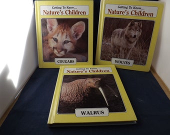 Three Getting to Know Books