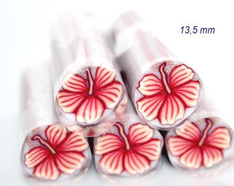 HIBISCUS CANE
