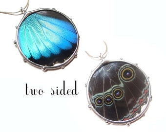 Eyes Blue Morpho Butterfly Necklace - Real Butterfly Wing - Nature Art Jewelry