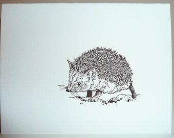 Little Hedgehog letterpress card