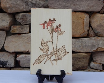 Cone Flower Woodburning Pyrography