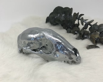 metallic raccoon skull (top only)