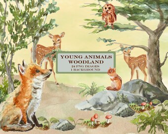 Woodland Watercolor Clip Art with Deer, Fox, chipmunk, Owl, Trees, Mushrooms, Rocks, Moss, Baby Owl, Young Fox, Fawn, Chipmunk, Nursery Art