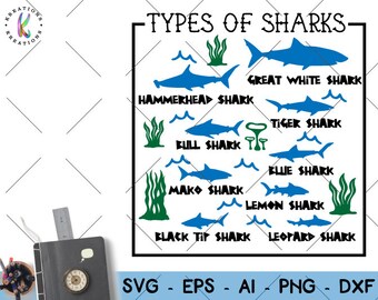 Free Free Pool Shark Svg 845 SVG PNG EPS DXF File