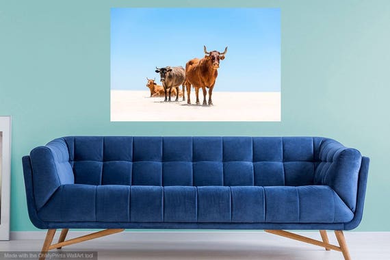 Cow Print. " Cows on Beach ", Cow Photography, Animal Prints, Tarifa Print, Wildlife Print, Wall Decor, Fine Art Photography