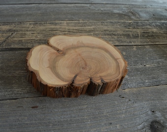 Gorgeous Juniper Tree Slice- Wall Hanging, Candle Stand, Centerpiece, Large Wood Slice, Clock Face (WS6027)